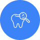 Dental Icon